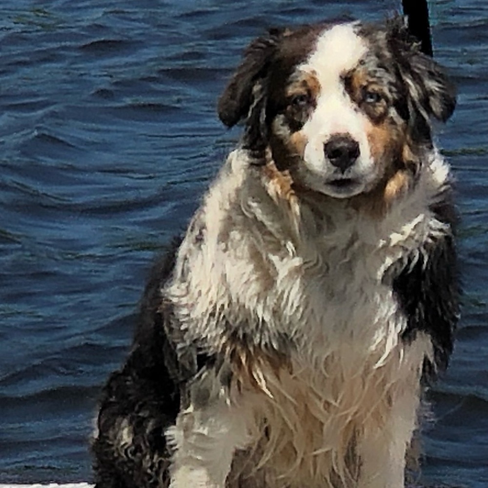 Meet your Posher, Ga